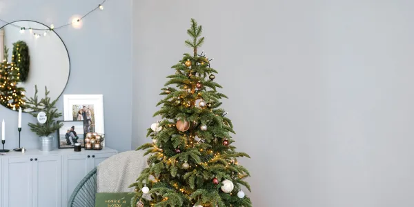 WESOŁE I NIEZAPOMNIANE